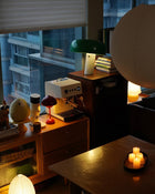 Gemilai Ele G3028A hos Home Roast