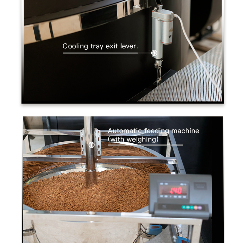 Santoker R120 Kafferister Home Roast