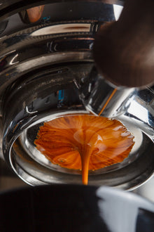 スレイヤー エスプレッソ シングルグループ - 夢の機械