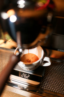 スレイヤー エスプレッソ シングルグループ - 夢の機械