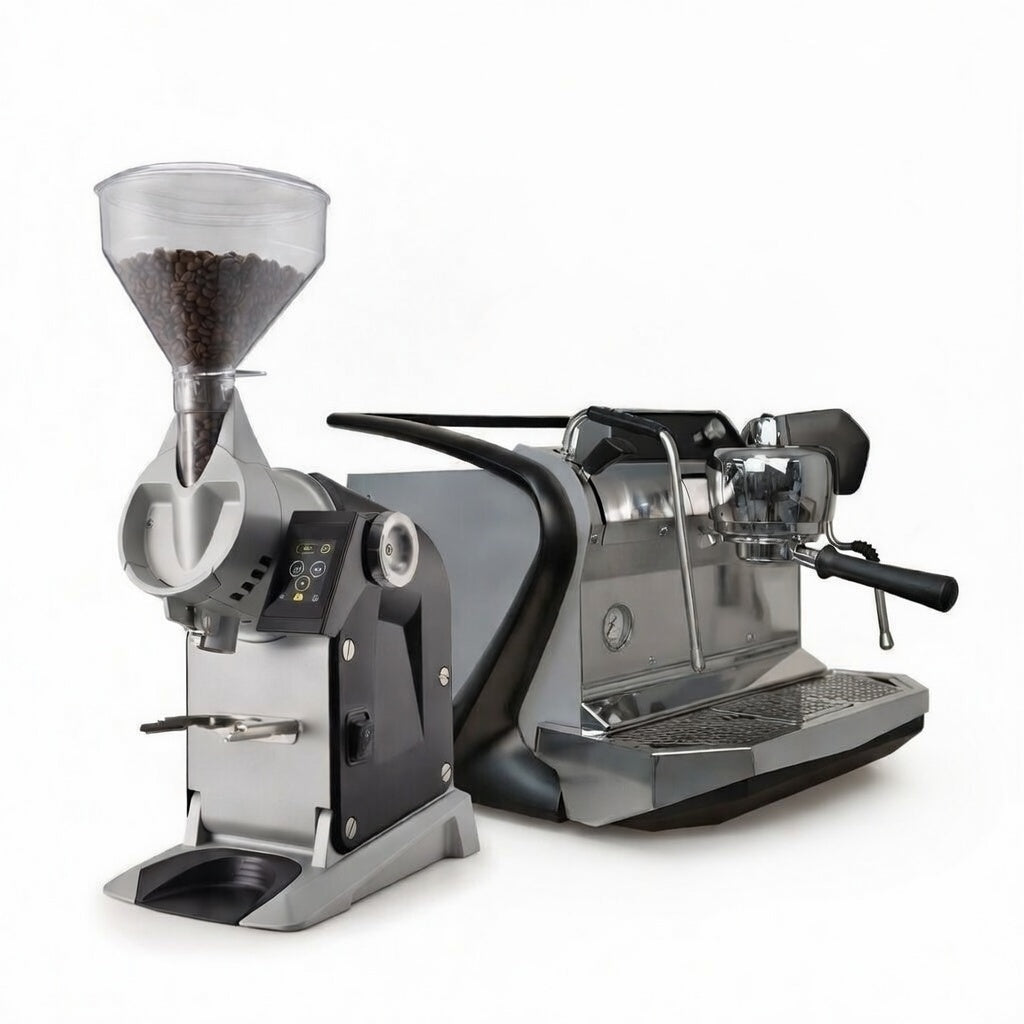 Steam Single Ermes Dual Bundle